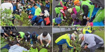 影音/原地扎根‧韌性森活 400大小朋友到內城國中小化育分校植樹