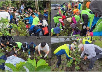 影音/原地扎根‧韌性森活 400大小朋友到內城國中小化育分校植樹