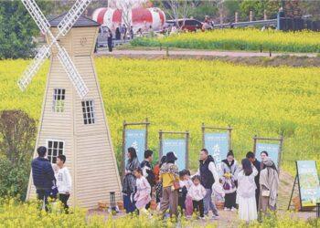 紮根海滄 保生文化結合兩岸共繁榮