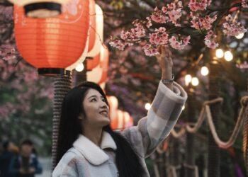 2026 淡水櫻花季 1/29 浪漫登場！天元宮攜手繪本藝術家「幾米」打造光櫻繪夢