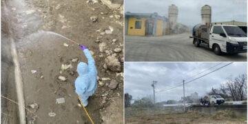 苗栗後龍大排驚見235隻雞屍 採樣檢出H5N1!