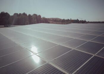 專欄／周訓財：綠色能源　企業ESG不可或缺