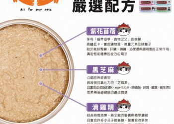 九品芝麻「罐」可愛又吸睛！新創品牌「特別待遇」推系列貓主食罐