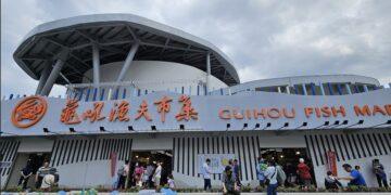 賞海景、吃海產！萬里龜吼漁港馬年走春趣 最新鮮生猛海鮮天天直送