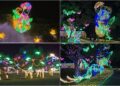 影音/情牽冬山河生態綠舟 宜蘭情人節8/19-23浪漫登場