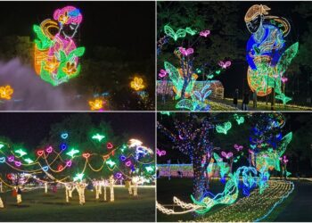 影音/情牽冬山河生態綠舟 宜蘭情人節8/19-23浪漫登場