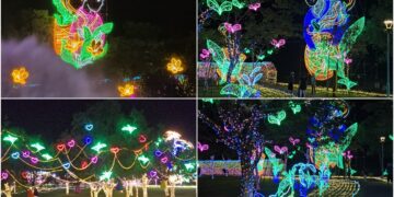 影音/情牽冬山河生態綠舟 宜蘭情人節8/19-23浪漫登場