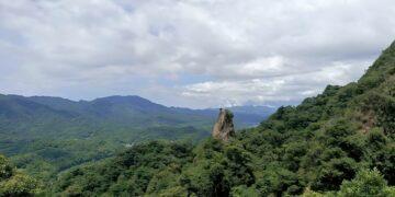 春天最美行腳！新北「微笑山線縱走」2/23 下午兩點開搶 四場春季健行帶您追螢賞星