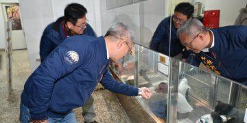 強烈冷氣團來襲 縣府啟動防寒措施確保收容動物安全
