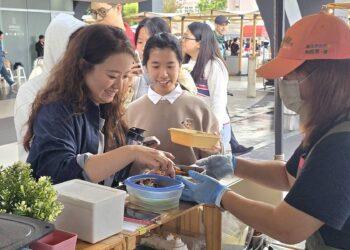 沉浸式永續饗宴！純植行動聯盟舉辦無肉市集 音樂、藝術與美食共慶地球日