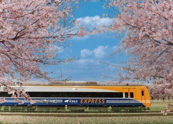 LINE Pay結盟韓國機場鐵路AREX　首度開拓跨境線上服務新版圖