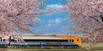 LINE Pay結盟韓國機場鐵路AREX　首度開拓跨境線上服務新版圖