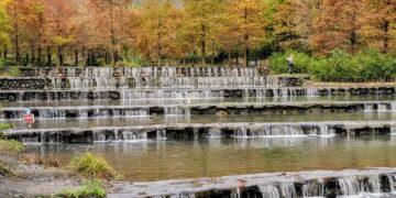 影音/冬日限定夢幻秘境 三層坪農塘美甚！