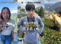 展現台灣新農業文化韌性！TikTok 助攻地方創生 品茗美學注入現代創意被世界看見