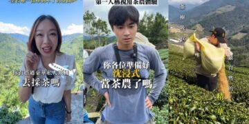 展現台灣新農業文化韌性！TikTok 助攻地方創生 品茗美學注入現代創意被世界看見