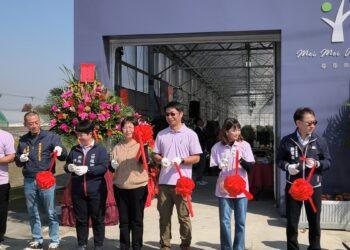 紫色寶石閃耀田間！ 田尾「莓莓果園」成功實現本土化大規模種植