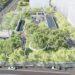 給市民安心的居住環境！新北交通局重申板橋望月公園停車場規劃：以一般小型汽車為原則 勿信不實傳言