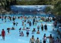 知卡宣親水公園8月23日活動倒數　花蓮縣府籲把握機會親子清涼一夏