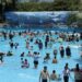 知卡宣親水公園8月23日活動倒數 花蓮縣府籲把握機會親子清涼一夏