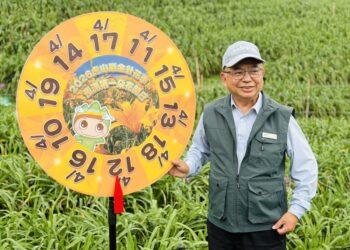 花季登場！虎山巖金針花蓄勢待開 猜中第一朵花開時間抽大禮包