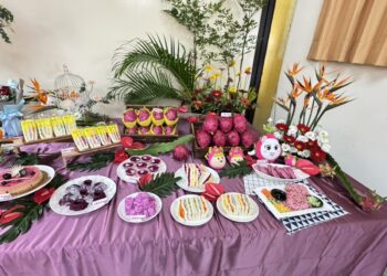 彰化優質紅龍果盛夏紅寶石登場 邀全民品嚐當季鮮甜滋味