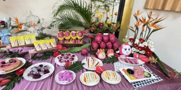 彰化優質紅龍果盛夏紅寶石登場 邀全民品嚐當季鮮甜滋味