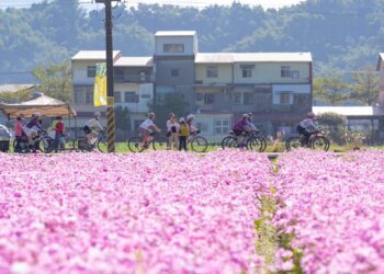 高雄市新春遊程大公開 花語溫泉幸福遊