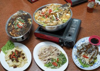 嘉義大埔一日遊　美食生態一次滿足