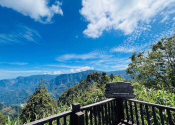 嘉義縣頂湖步道串聯大凍山　親子同遊解鎖人生首座小百岳