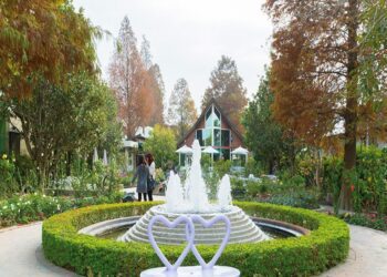 2025花在彰化、田尾最美 　走進世外桃園、體驗偽出國感美景旅遊聖地