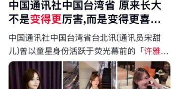 影音／許雅涵灣灣新聞專欄爆紅　跨國多頻道春晚報道持續登頂熱搜