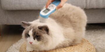 PetiMeti以「守護它　從家開始」的品牌願景　於台北寵物節發表智能體溫按摩梳　重新定義寵物居家照護