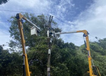 山陀兒颱風來襲 台電全力搶修 逾九成用戶已復電