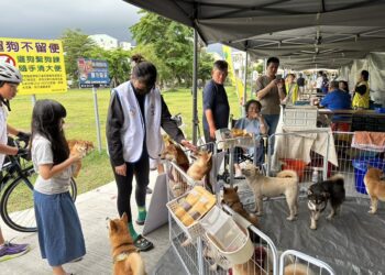 歡度母親節 秀傳寵物市集 免費健檢疫苗施打一次滿足