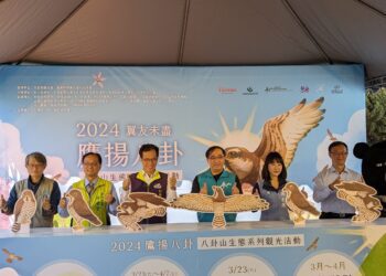 乍暖還寒跟著追逐風的翅膀　來場春日八卦山賞鷹之旅