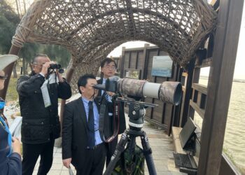 日本出水市代表團走訪雲嘉南濱海體驗鳥類生態及永續觀光 搭乘彩繪賞鳥車探索捕捉繁殖羽換新裝風采