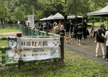 世界狂犬病日 超過300位毛爸媽齊聚新北愛寵LIVE音樂會