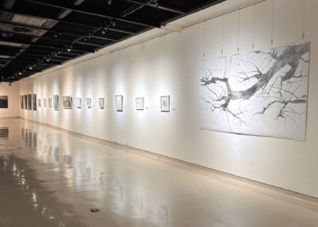 「藝展新藝」新北開展 13校聯手15檔展覽 點亮創意視界