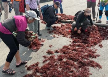 生態旅遊深入走訪南雅、鼻頭 旅行同業踩線首發團回應熱烈