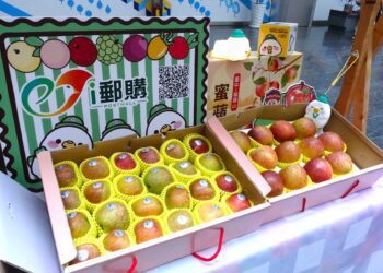 品嘗季節限定甜蜜滋味　和平梨山蜜蘋果搶鮮上市開放訂購