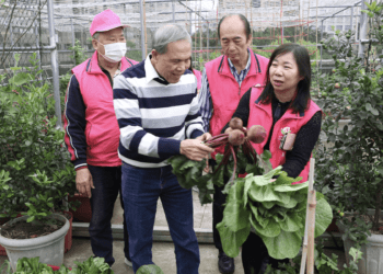 隱藏版綠洲 板橋三民社區「開心農場」 種七大植化素蔬果供長輩歡喜共餐