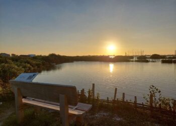 成龍濕地生態教育 啟發學生創新思維