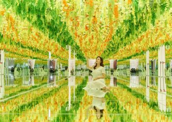 連假百元暢玩嘉義「蓋婭莊園」猶如置身歐洲 春日出遊推薦新展區逆光花廊與花海共舞