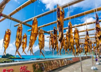 踏上蘭嶼 探索雅美(達悟)族飛魚祭(季)的神秘魅力