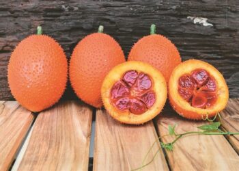 來自天堂的水果！品牌推「木鱉果＋葉黃素＋蝦紅素」搶攻市場