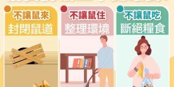 嘉市加強環境清潔與鼠害防治 共同築起漢他病毒防護網