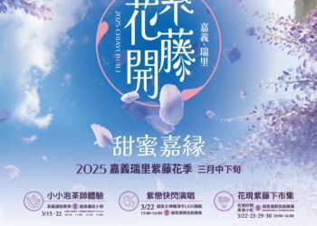 紫戀嘉緣 嘉義縣瑞里紫藤花季浪漫綻放