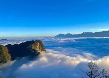 春節假期旅遊推薦　嘉義縣10大熱門走春景點