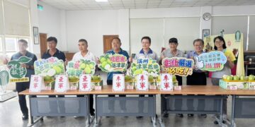 影音/彰化縣優質「津翠」番石榴評選登場 展現品種更新與栽培成果
