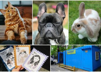 宜蘭童玩節主題日「寵物似顏繪」　7/26邀請寵物和主人一同入畫